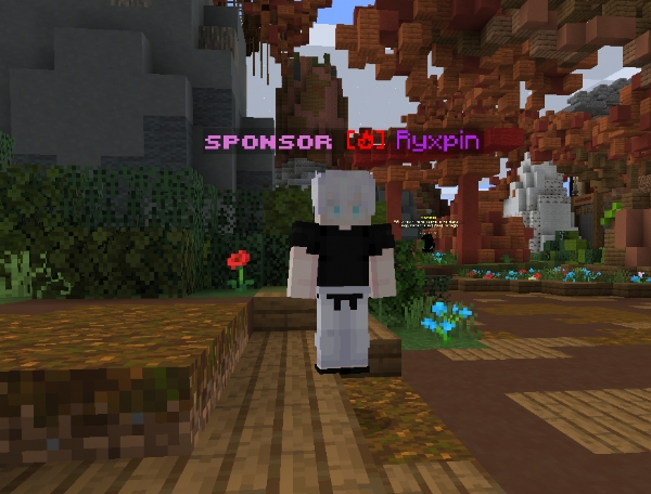 Minecraft Sunucusu İçin Yatırımcı Arıyorum