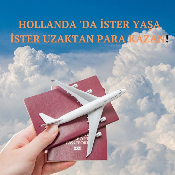 Hollanda merkezli web sitesi projesi